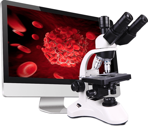 исследования Гельміфорте