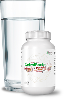 способ применения Гельміфорте стакан воды