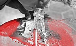 паразиты в воде и еде